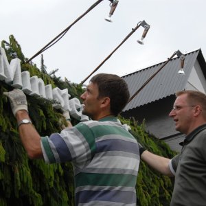 02-Kraenzen-2009-6335